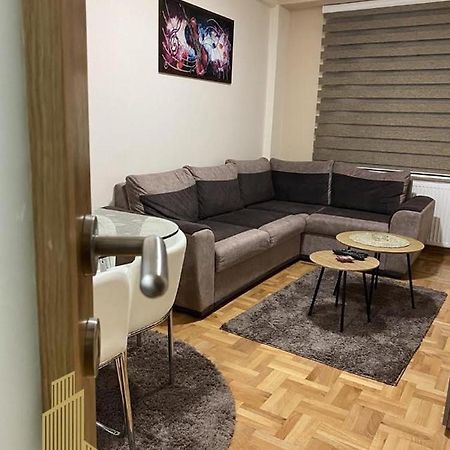 Mirkovic Lux Apartman Nis Luaran gambar